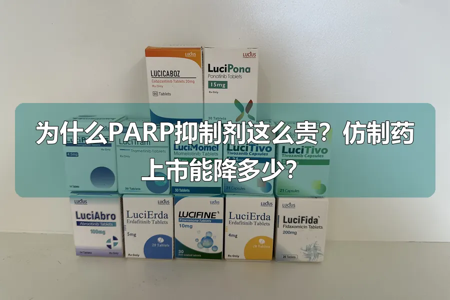 为什么PARP抑制剂这么贵？仿制药上市能降多少？